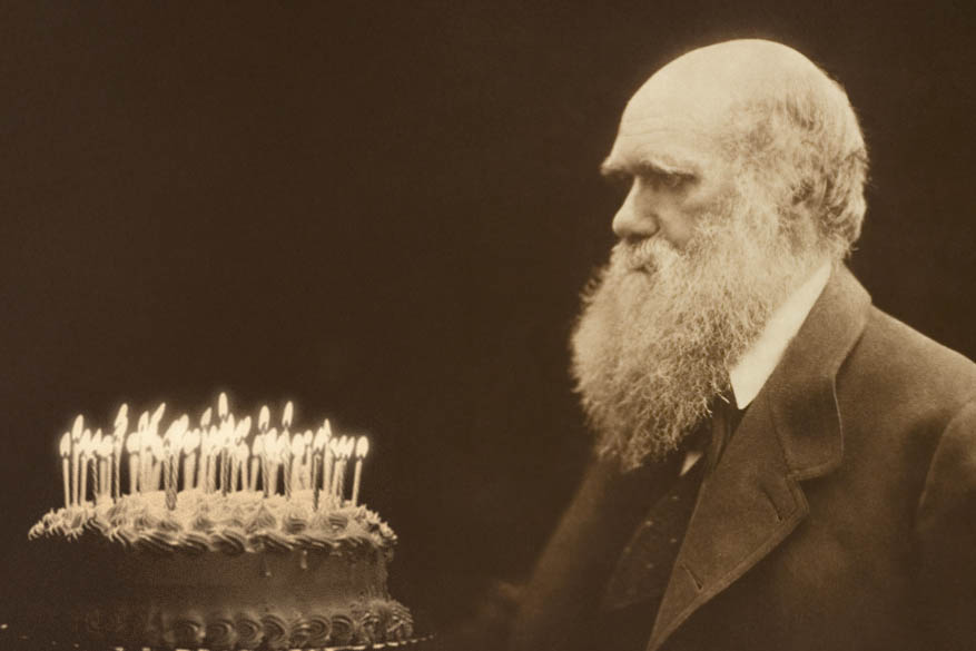 „Grau, teurer Freund, ist alle Theorie, und grün des Lebens goldner Baum. “ – Charles Darwin wird 216