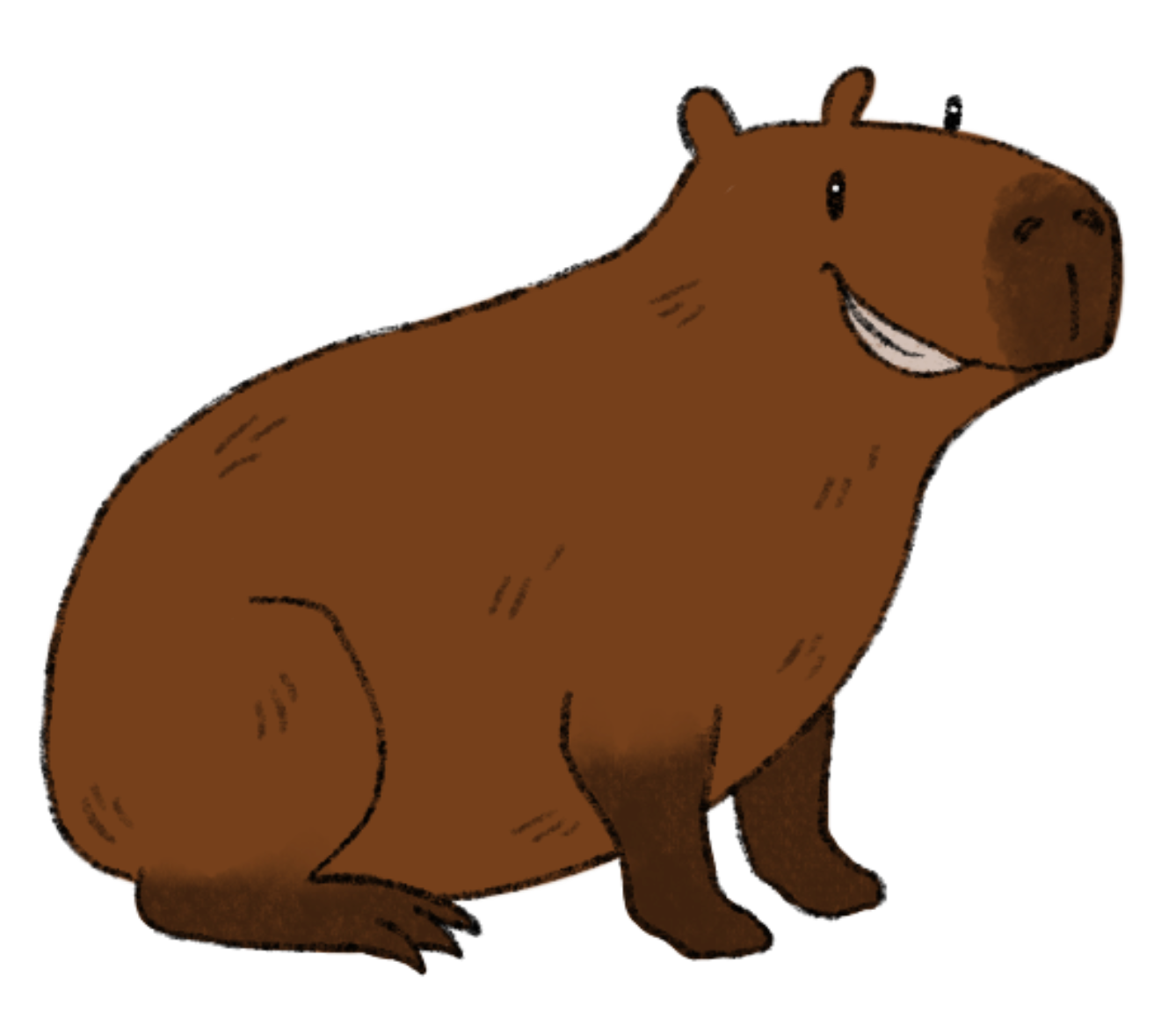 Ein braunes Capybara sitzt mit ausgestreckten Vorderläufen auf seinem Hinterteil. Es grinst breit.
