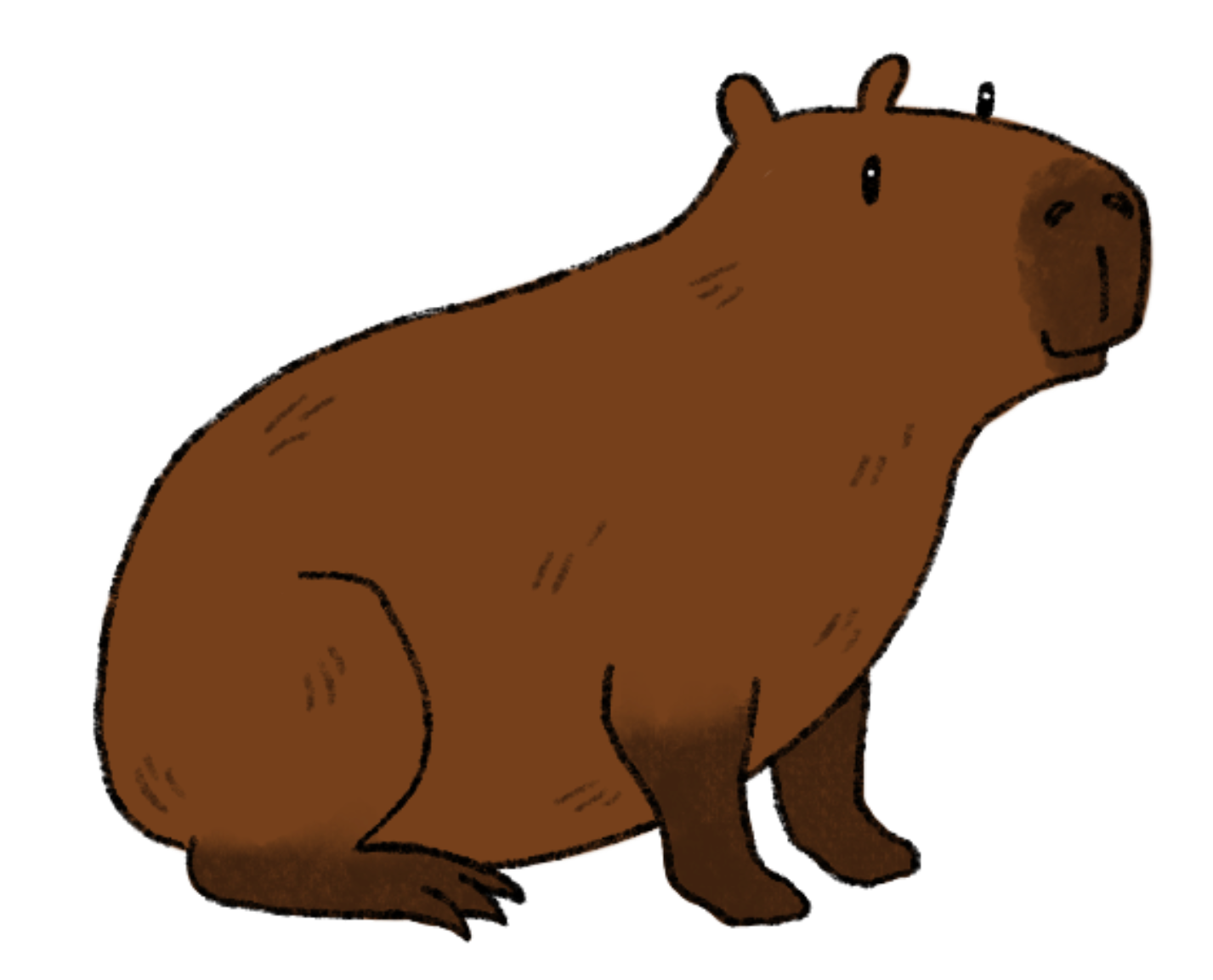 Ein braunes Capybara sitzt mit ausgestreckten Vorderläufen auf seinem Hinterteil. Es lächelt sanftmütig. Wir blicken auf seine rechte Körperseite.