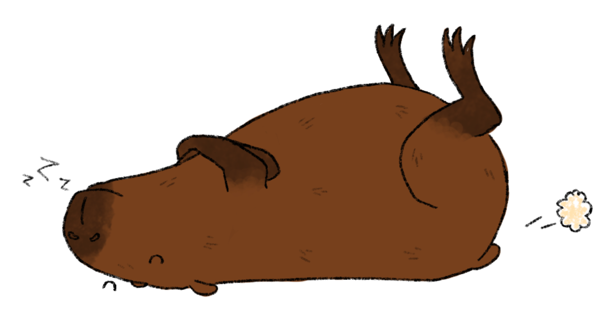 Ein Capybara liegt flach auf dem Rücken, die Vorderläufe verschränkt, die Hinterläufe hochgestreckt. Aus seiner Nase entweichen Schnarchlaute und aus seinem Po kommt eine kleine, gelbliche Wolke.