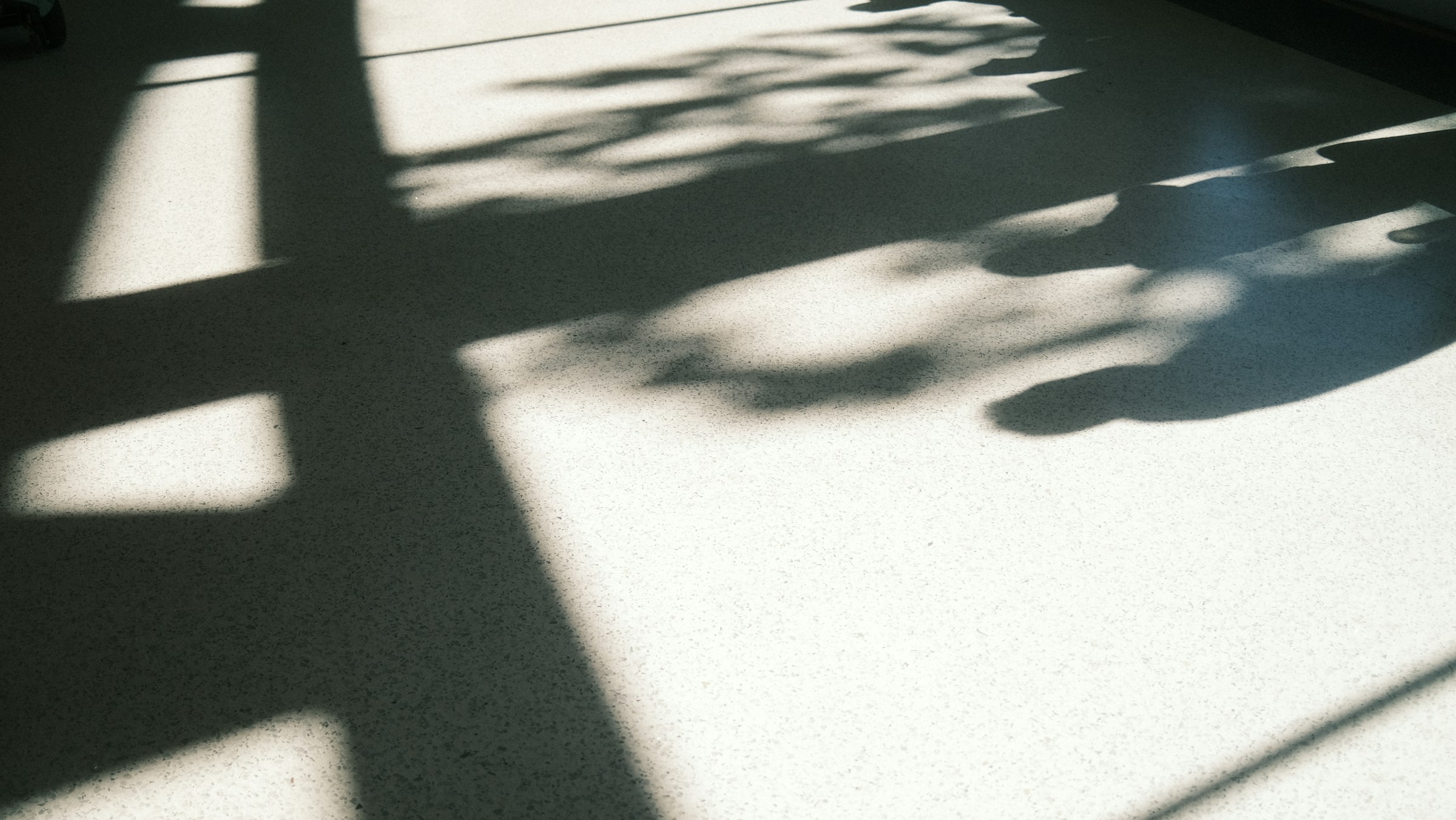 Exorzismus im Licht, im Halbdunkel und im Schatten