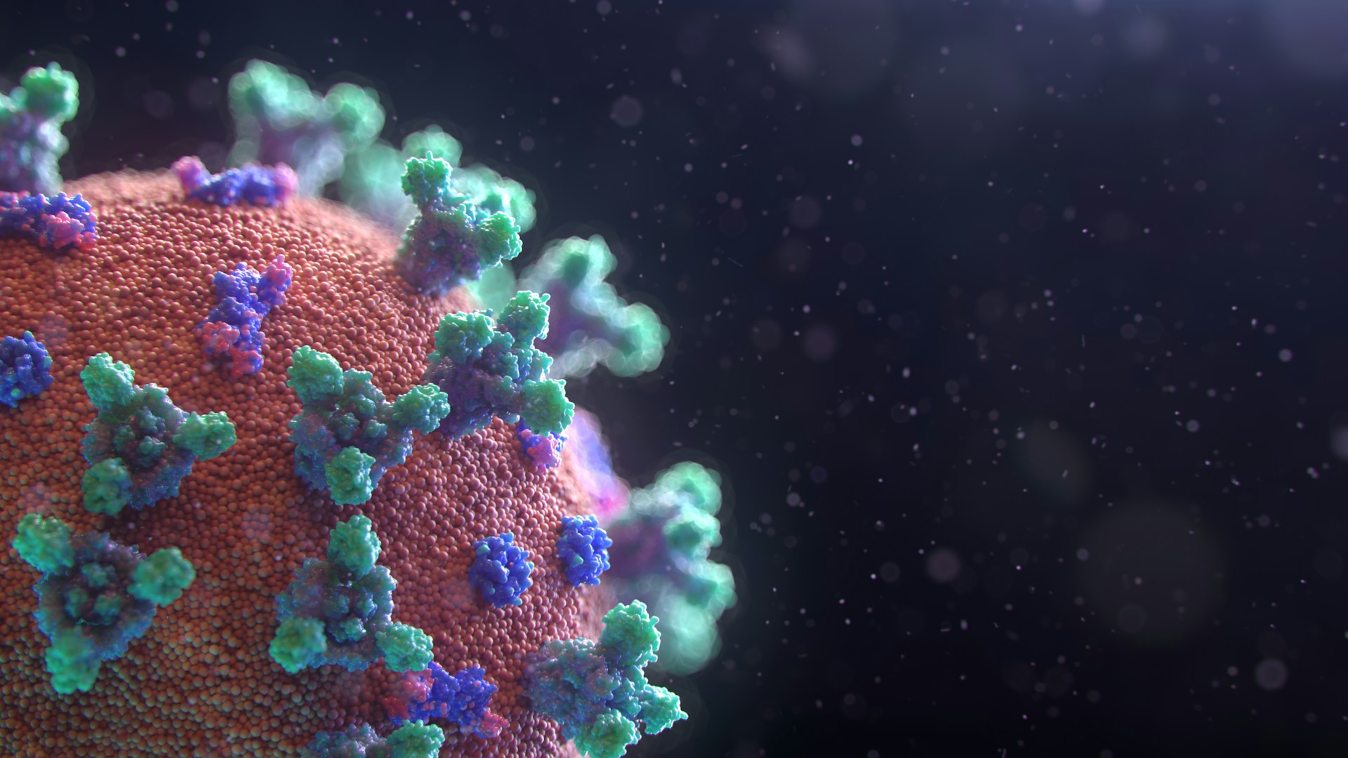 Neue Studie: Laborvariante des MERS-Coronavirus hat kaum Ähnlichkeit mit SARS-CoV-2