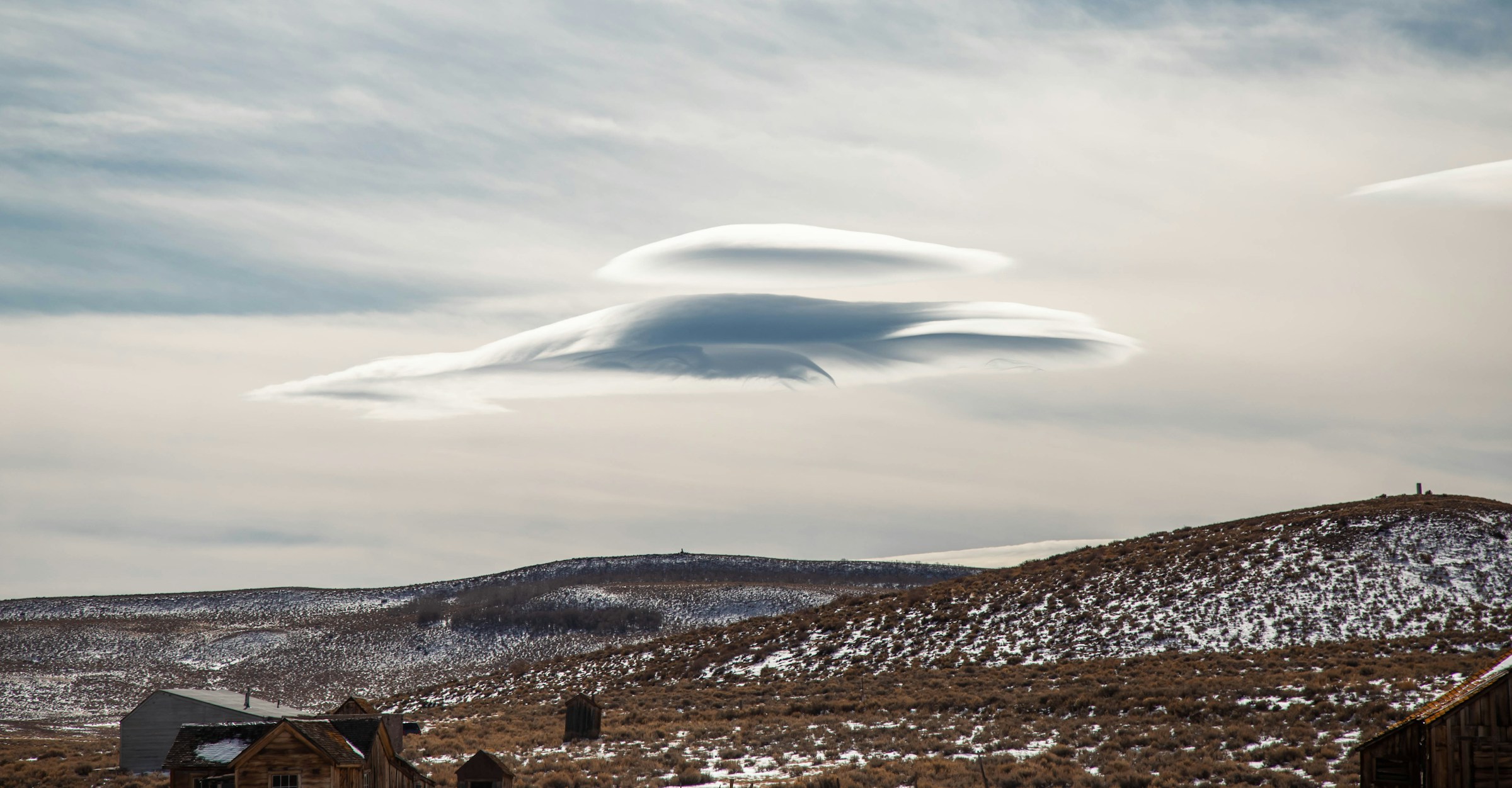 Trumps neuer Ufo-Rat: Spherical objects waren nur Vögel