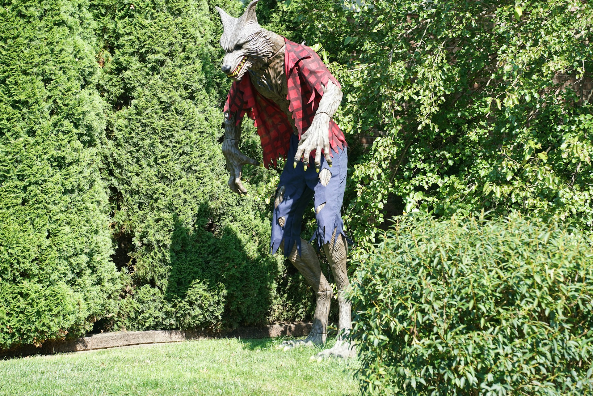 Gewalt, Aberglaube, Verleumdung – das Rätsel um den „Werwolf von Bedburg“