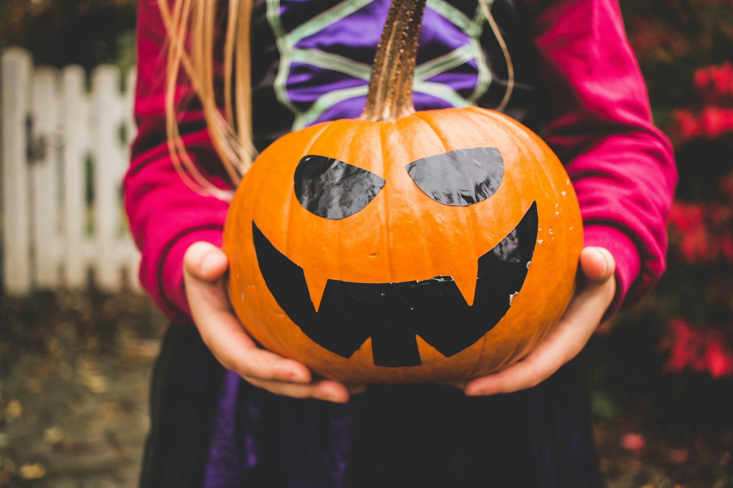 Halloween und Rauhnächte – heidnisch, christlich, esoterisch? Ein Studientag in Augsburg